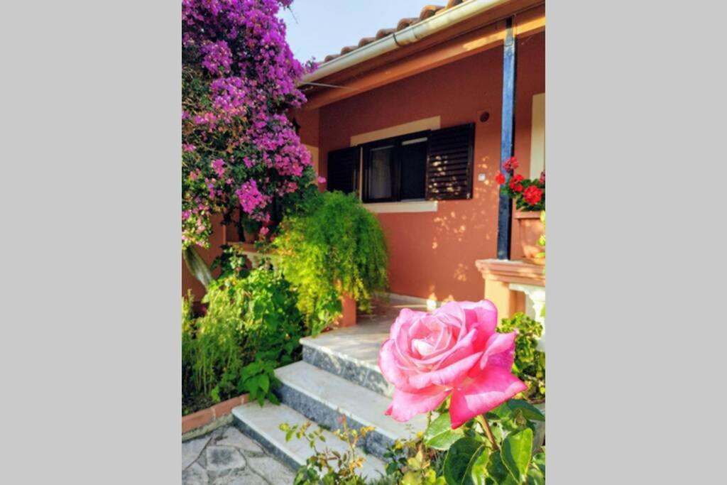Villa Rose Garden Melíkia Exterior foto